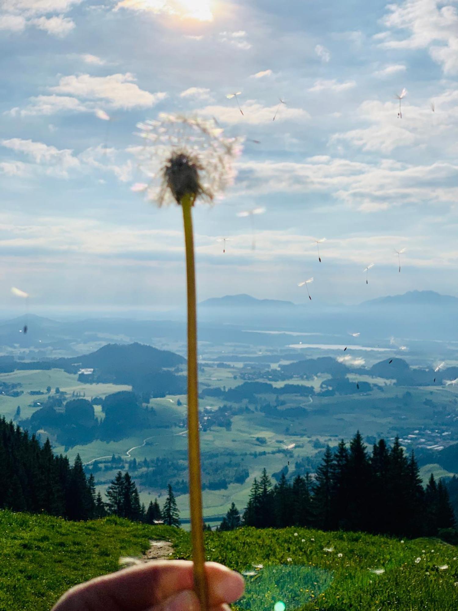 Ferienhaus Sommer プフロンテン エクステリア 写真