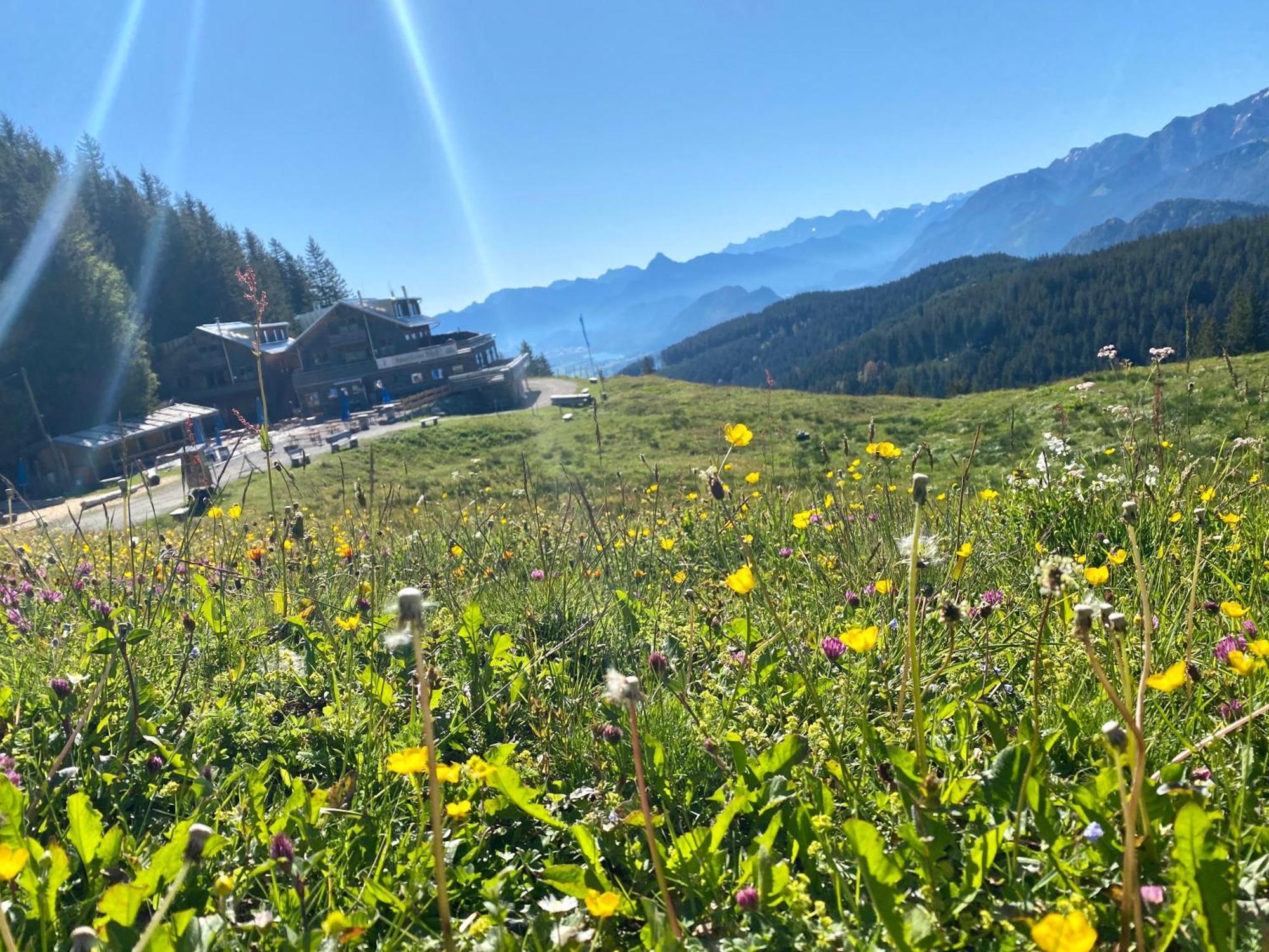 Ferienhaus Sommer プフロンテン エクステリア 写真