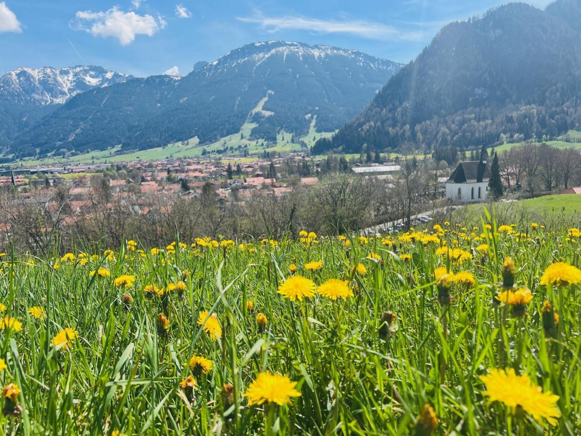 Ferienhaus Sommer プフロンテン エクステリア 写真